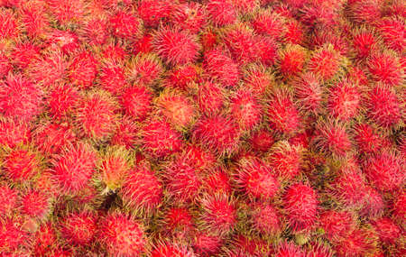 Rambutanの写真素材