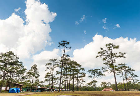 Tent in Phukradueng National Parkの写真素材