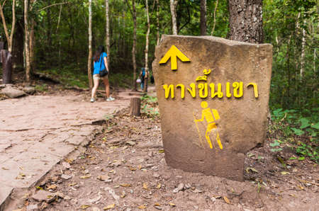 Hiker Crossing sign along road in the Forestの写真素材