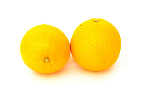 Orange on a white background.の写真素材