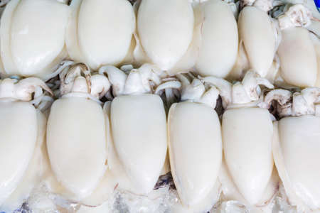 Fresh squid on the seafood marketの写真素材