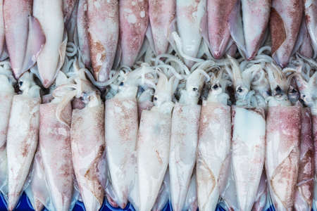 Fresh squid on the seafood marketの写真素材
