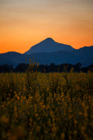 Fantastic mountains glowing by sunlight. Dark overcast sky in the morning. Dramatic and picturesque scene.の写真素材