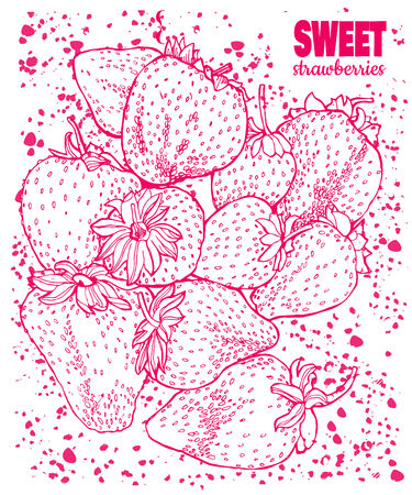 Sweet strawberries  Vetor in red  のイラスト素材