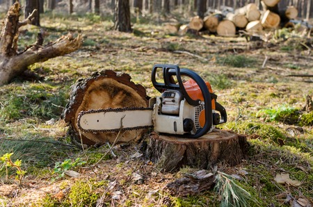 Chainsaw in the Sunny forestの写真素材