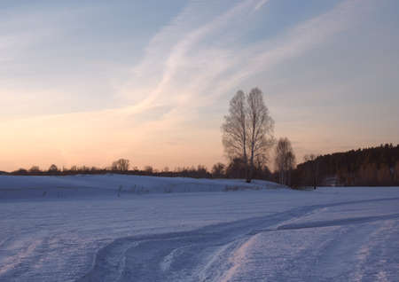 Granular snow, the tracks of snowmobiles, birch on a background of a winter sunset, the zigzags of Golden clouds in the sky. Nature Of Siberia, Russia, 2019の写真素材