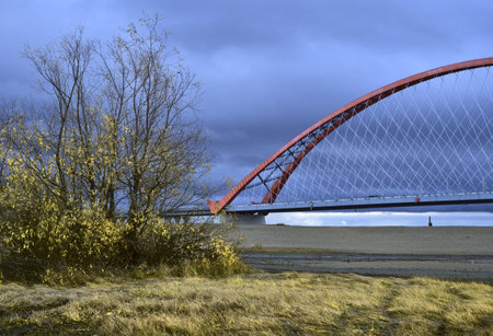 High arched road bridge with cable-stayed net across the Great Siberian river is a landmark of Novosibirsk. Golden grass, autumn leaves, blue cloudy sky. Color contrast. Russia, 2018の写真素材