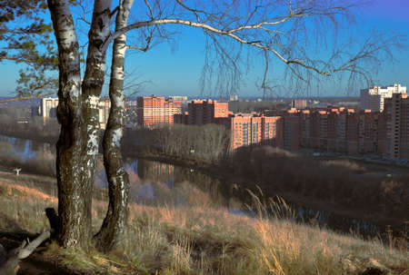 There is a birch on the high bank ahead. Blue sky. New buildings of Novosibirsk - the capital of Siberia, Russia, 2018の写真素材