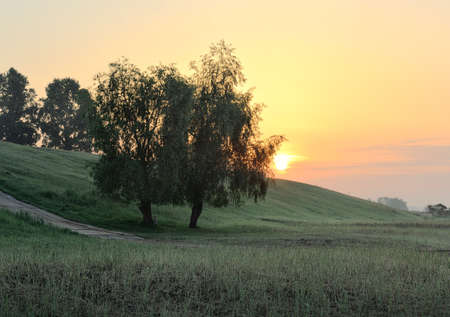 Morning dew on the grass, sparse trees, the hillside, the rising sun on the horizon, the Golden clear sky, nature of Siberia. Novosibirsk region, Russia, 2020の写真素材