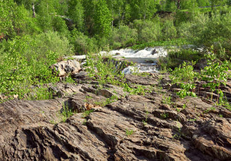 The Bank of the Suenga river with layered rocks, streams of water with white foam in the distance, green vegetation on the Bank in spring. Pure nature of Siberia. Novosibirsk region, Russia, 2020の写真素材
