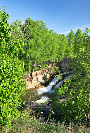 Forest waterfall among birches in spring. Young birches with fresh spring foliage, a waterfall far below, blue sky, bright sunlight in the early morning, clean nature of Siberia, without people. Novosibirsk region, Russia, 2020の写真素材