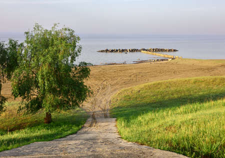 Fresh grass and leaves on a tree on a green slope in spring, descent down to a sandy beach, coastal protection structures in the water, a clear horizon, morning blue sky, nature of Siberia. Novosibirsk region, Russia, 2020の写真素材