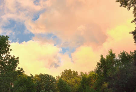 Yellow, orange, pink fluffy clouds in the blue sky, tree tops. Morning landscape, nature of Siberia. Novosibirsk region, Russia, 2020の写真素材