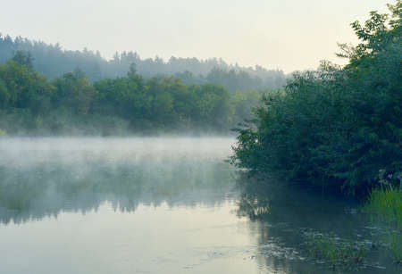 Bushes and trees on the river Bank, the calm surface of the water with reflections and creeping fog,...