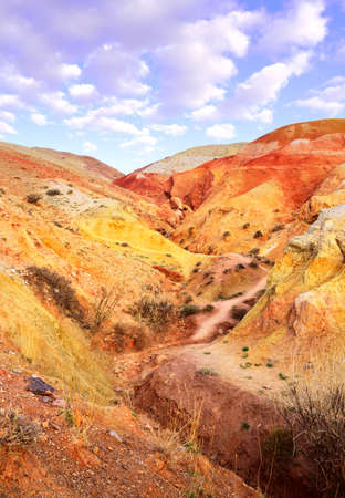 Mars in the Altai Mountains. The slope of the river terrace with the exposure of colorful clays and siltstones under the blue sky is a geological attraction. Chui Valley, Siberia, Russiaの写真素材