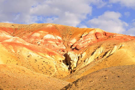Mars in the Altai Mountains. The slope of the river terrace with the exposure of colorful clays and...