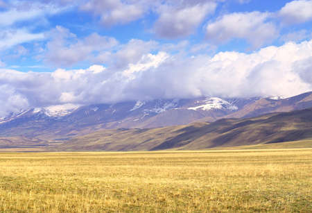 Kurai steppe in the Altai Mountains. Dry grass in the spring on the plain against the background of...