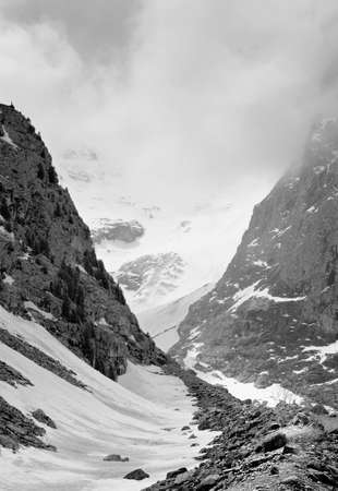 Aktru Valley in the Altai Mountains. The path to the Maly Aktru glacier, cliffs surrounded by high...
