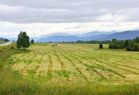 A rural field against the background of blue mountains under a cloudy sky. Siberia, Russia