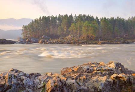 Manzherok rapids in the Altai Mountains. Pine trees on the rocky bank of the Katun River, streams of green water. Nature of Siberia, Russiaの写真素材