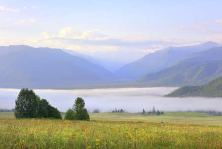 A green meadow against the background of blue mountains under the morning sky. Siberia, Russiaの写真素材