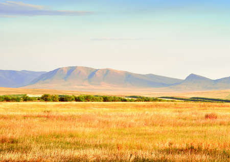 Golden grass against the background of green mountains in summer under a blue cloudy sky. Siberia, Russiaの写真素材