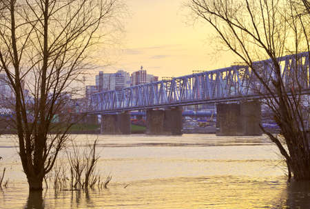 Novosibirsk, Siberia, Russia-05.03.2021: Morning on the Ob River. Bare trees in the water, the bridge of the Trans-Siberian Railway, high-rise buildings on the shore against the backdrop of the picturesque golden dawn skyのeditorial素材