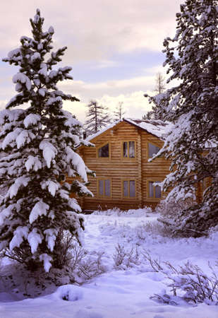 Gorny Altai, Siberia, Russia, 05.05.2021: A house in the Aktru valley. A clearing buried in snow in the middle of tall fir trees against the background of the morning skyのeditorial素材