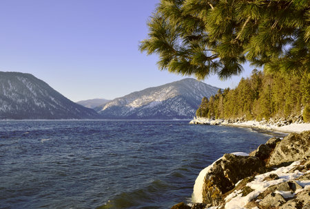 Snow on the rocks on the shore of lake Teletskoye, which does not freeze in winter. Waves, pine branches, forest, mountains, blue sky in the distance. Nature of Siberia. Russia, Gorny Altai, 2020の写真素材