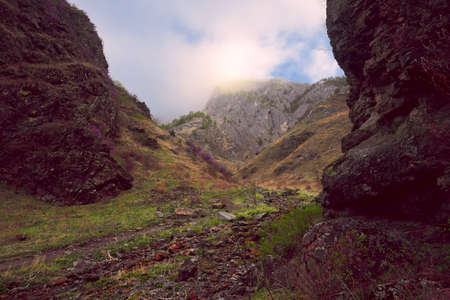 Rocky trail at the bottom of the gorge with steep picturesque slopes covered with yellow grass. High vertical rock buried in the morning fog against the blue sky. The place of natural power of Altai. Pure nature of Siberia, Russia, 2019の写真素材