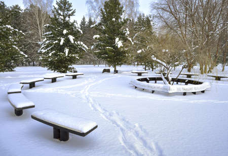 Benches in the winter Park. The round platform vacation among the snow drifts on the square of Fame. Novosibirsk, Siberia, Russia, 2020の写真素材