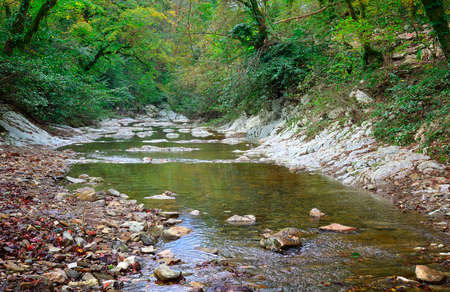 Stones in the bed of the Agura River among green trees. Sochi, Russia, 2021の写真素材