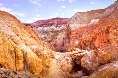 Mars in the Altai Mountains. The slope of the river terrace with the exposure of colorful clays and...