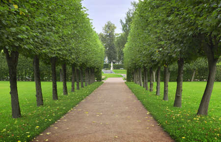 Pushkin / Saint Petersburg / Russia-09.03.2020: Alley in the Catherine Park. Rows of trees along the pedestrian path. Monument of Russian landscape architecture of the XVIII centuryのeditorial素材