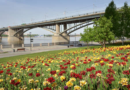 Flowers on the embankment in Novosibirsk. Colorful flowerbeds blooming in spring, an arched road bridge over the Ob River. Siberia, Russiaの写真素材