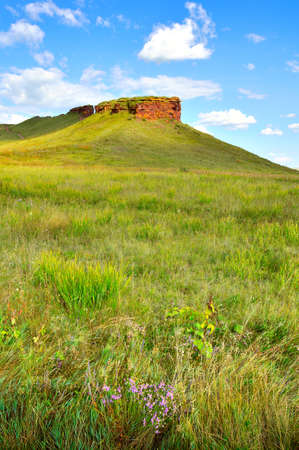 Wildflowers at the base of hills with a red rock cliff in summer under a blue cloudy sky. Siberia, Russiaの写真素材
