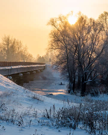 The winter sun colored the crowns of trees on the bank of the frozen Siberian river Oesh in yellow tones. Village Kolyvan, Novosibirsk Region, Russia, 2018の写真素材