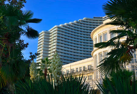 Sochi, Russia, 11.01.2021. The facade of a large hotel under a blue sky among subtropical palm treesのeditorial素材