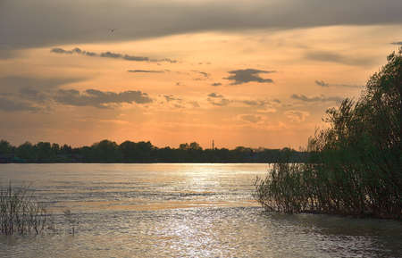 The evening sky over the waters of the Ob among the trees in high water in spring. Novosibirsk Region, Siberia, Russiaの写真素材