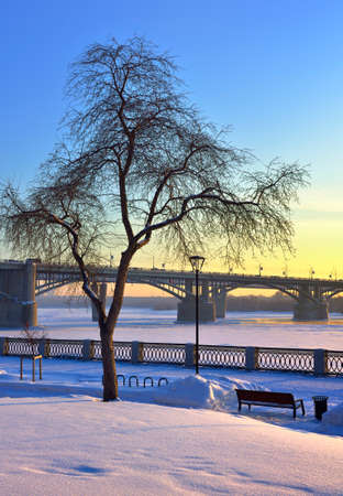 Winter embankment in the evening. A tree among snowdrifts on the background of a Communal arch bridge over the Ob River covered with ice. Novosibirsk, Siberia, Russia, 2022の写真素材