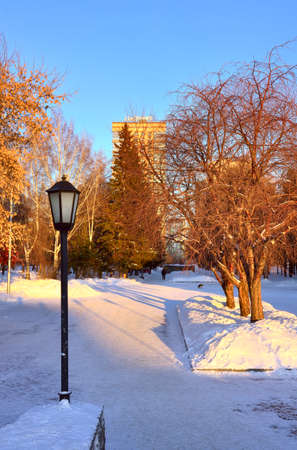 Novosibirsk, Siberia, Russia, 29.01.2022. Narymsky Square on a winter morning. A park covered with snow surrounded by multi-storey buildingsのeditorial素材