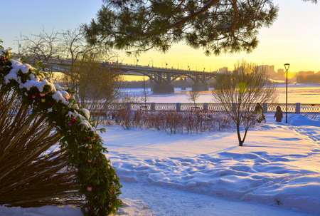 Novosibirsk, Siberia, Russia, 29.01.2022. Winter embankment in the evening. Tree branches on the bank of the Ob river covered with ice and snow on the background of the Communal Bridgeのeditorial素材
