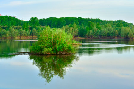 A bush on the surface of the water. The bay of the Ob River in the morning. Novosibirsk, Siberia, Russia, 2022の写真素材