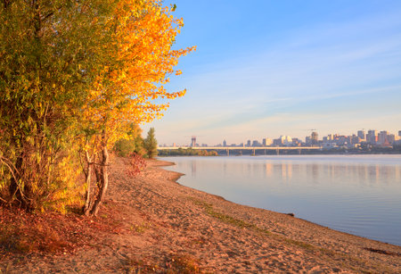 Morning on the banks of the Ob. Autumn trees on the sandy bank of the river, a big city with bridges in the distance. Novosibirsk, Siberia, Russia, 2022の写真素材