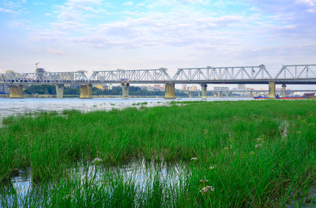 Novosibirsk, Siberia, Russia, 08.20.2022. The capital is on the Ob. Railway bridge of the Trans-Siberian railway over the waters of the river with grass near the shoreのeditorial素材