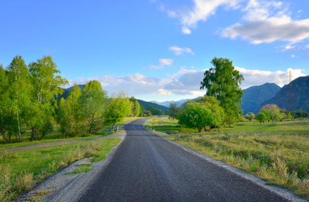 A road in a mountain valley. A green meadow at the foot of the Altai Mountains under a cloudy blue...