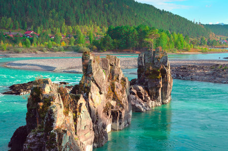 Dragon Teeth Rocks on Katun. Sharp rocks in the bed of a mountain river with emerald water. Altai Republic, Siberia, Russia, 2022の写真素材