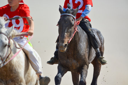 National sport of nomads, tyutrks and steppeks. Children participate in the hippodrome. Baige is a cross-country race for a long distance of 5 and 15 km.の写真素材