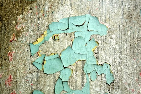 The blue pantherの写真素材