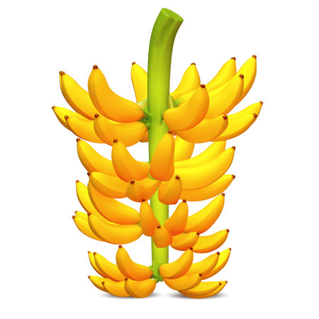 3d render Cute banana bunchesの写真素材
